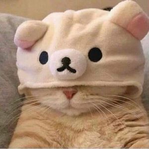 RARE Rilakkuma hat for cats